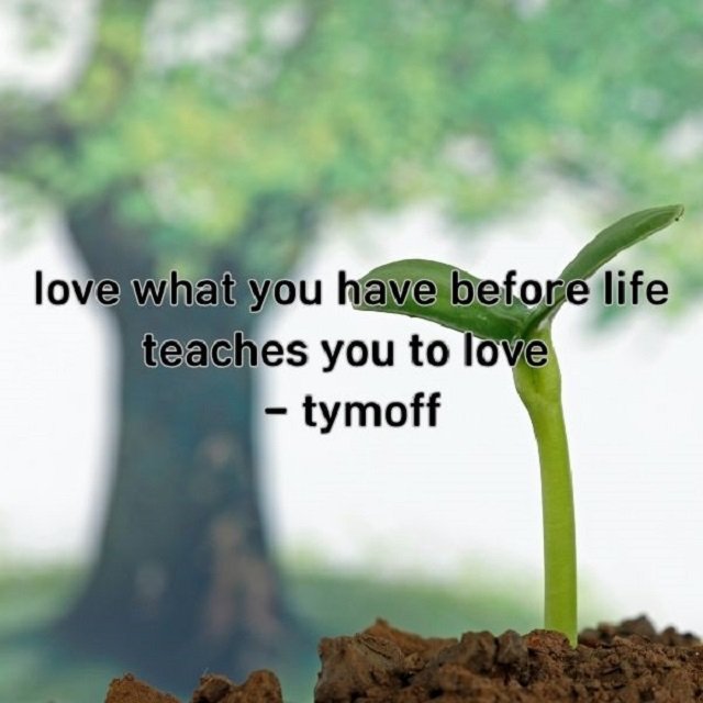 Love What You Have, Before Life Teaches You to Lov – Tymoff
