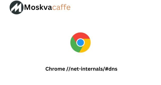 Chrome //net-internals/#dns