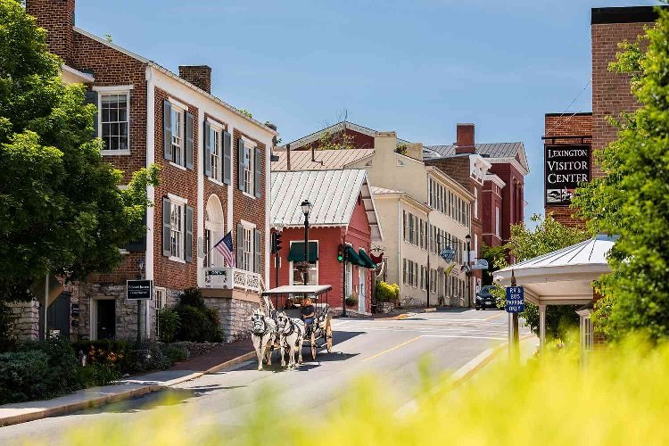 Outdoor Movie and Stargazing Spots in Lexington